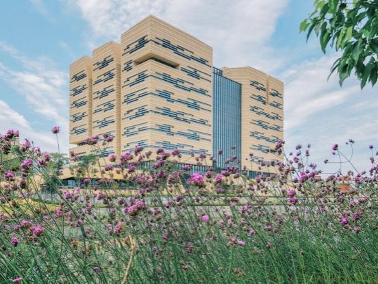 bevictor伟德官网